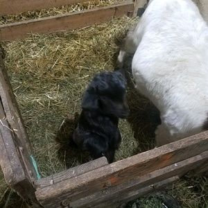 Meet your Posher, Jerlyn